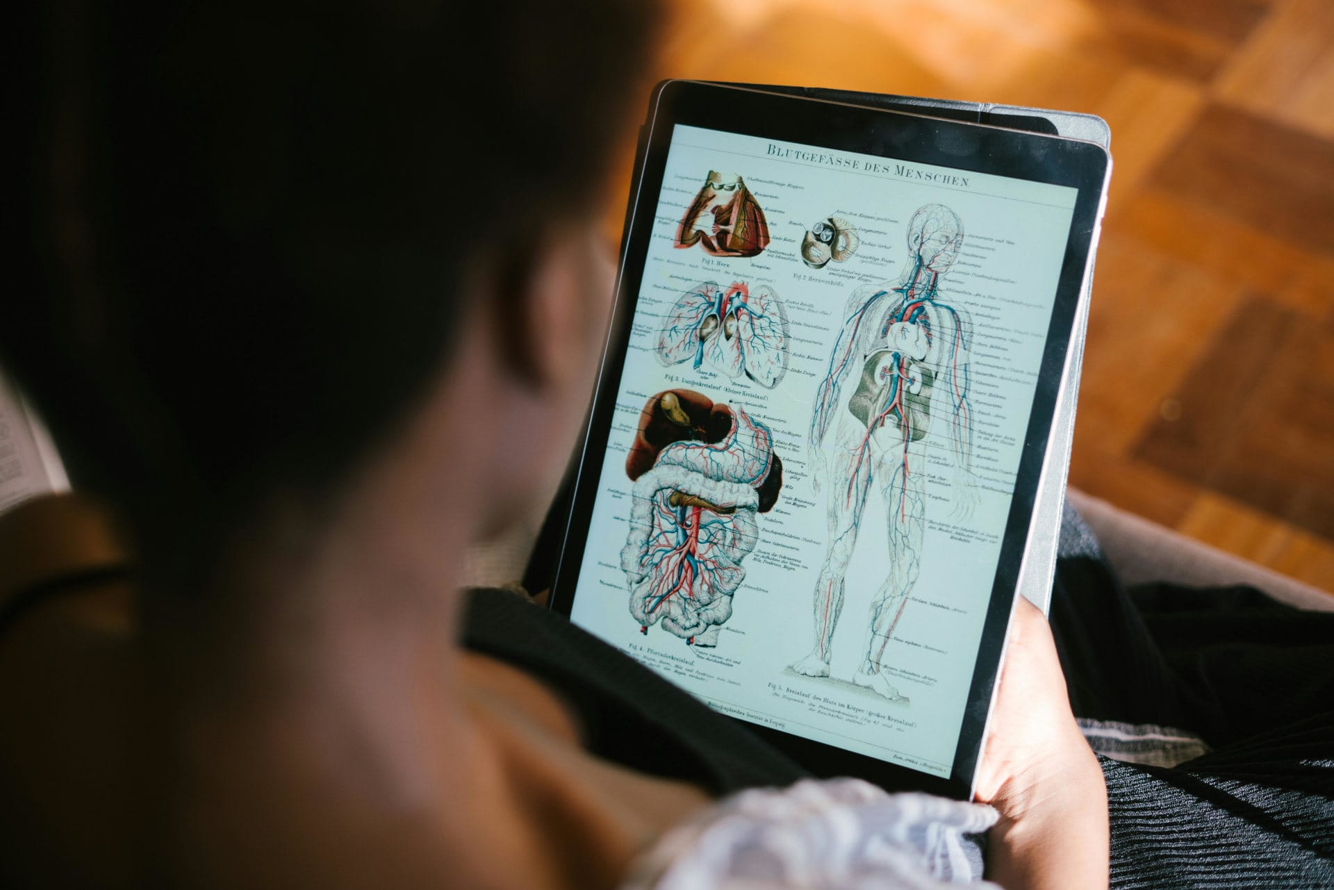 woman studying human anatomy on ipad